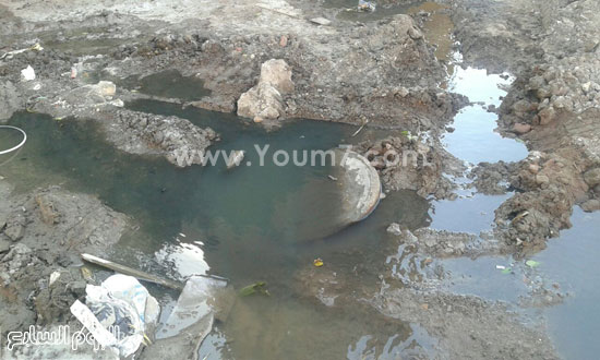 مياه الصرف الصحى تغطى الأراضى بحى عبد الجليل (6)