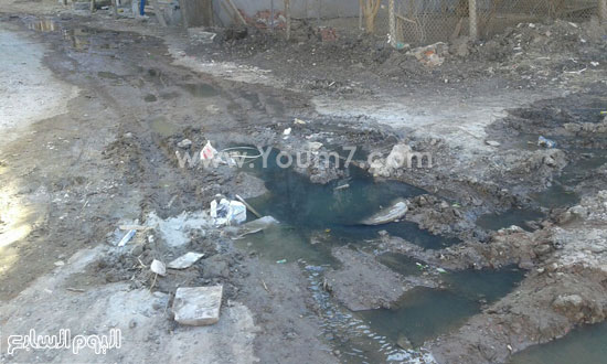 مياه الصرف الصحى تغطى الأراضى بحى عبد الجليل (7)