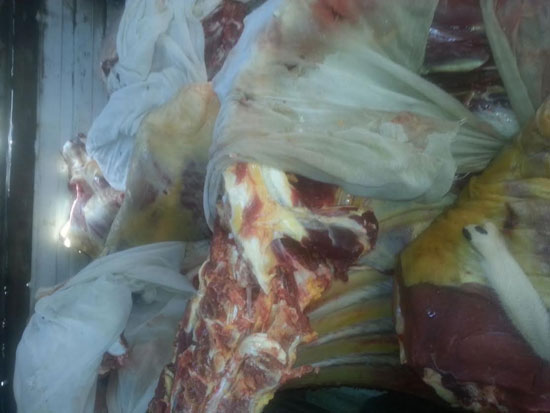 المضبوطات (1)