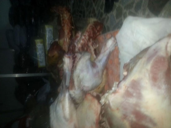 المضبوطات (5)