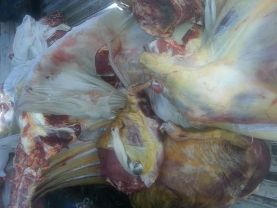 المضبوطات (6)