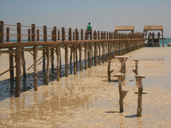 شواطئ البحر الاحمر تستعد لاستقبال المصريين فى أعياد الربيع (2)