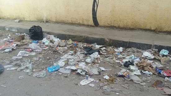  القمامة تحاصر مدرسة سنان الابتدائية بالدقى (4)