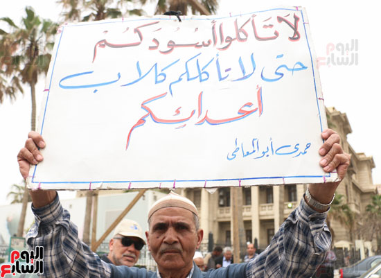 متظاهرو القائد إبراهيم يحتفلون بزيارة خادم الحرمين الشريفين لمصر (12)