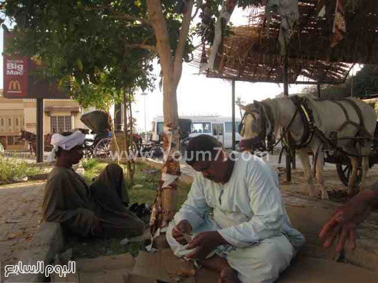    أصحاب الحنطور يروون لليوم السابع مآساتهم -اليوم السابع -5 -2015