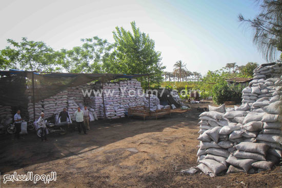 	أطنان الفحم المخزن بقرية أجهول -اليوم السابع -5 -2015
