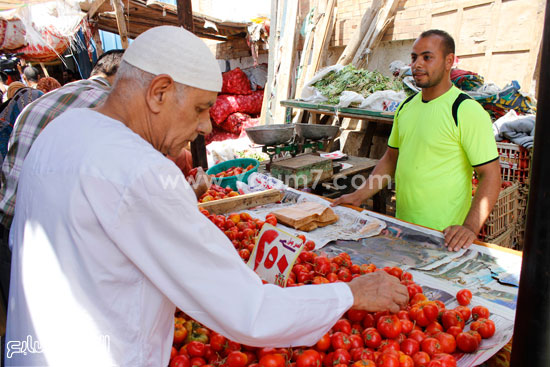 أسعار الطماطم فى سوق الجمعة -اليوم السابع -5 -2015