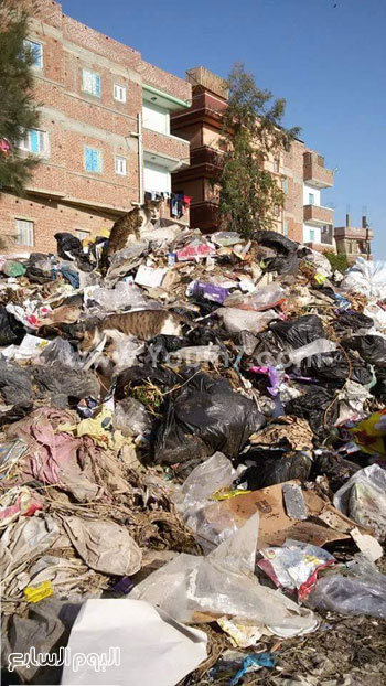  القمامة تدل على إهمال المسئولين -اليوم السابع -5 -2015