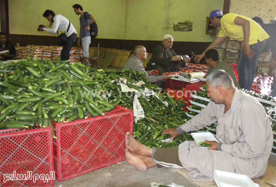 اليوم السابع -5 -2015