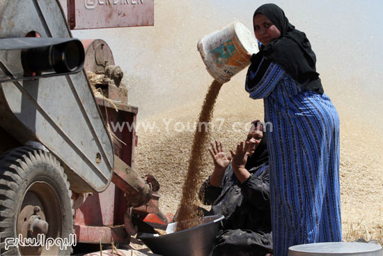 اليوم السابع -5 -2015