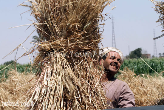 اليوم السابع -5 -2015