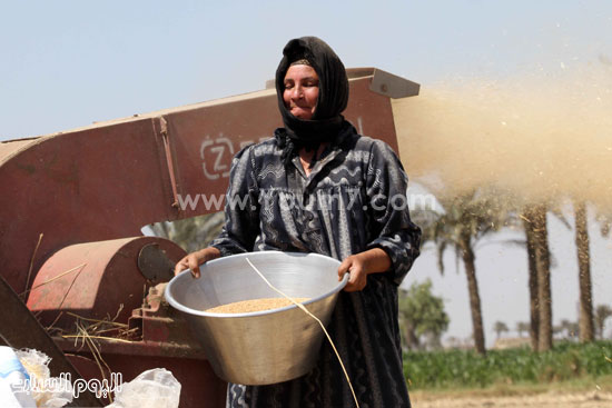 اليوم السابع -5 -2015