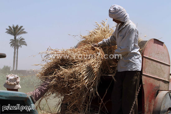 اليوم السابع -5 -2015