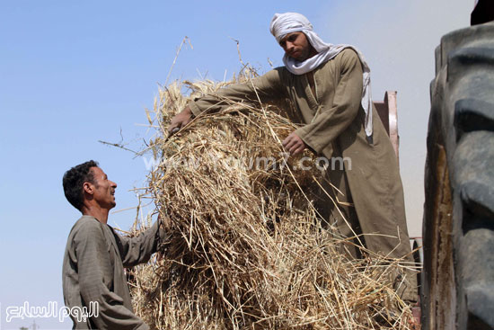 اليوم السابع -5 -2015