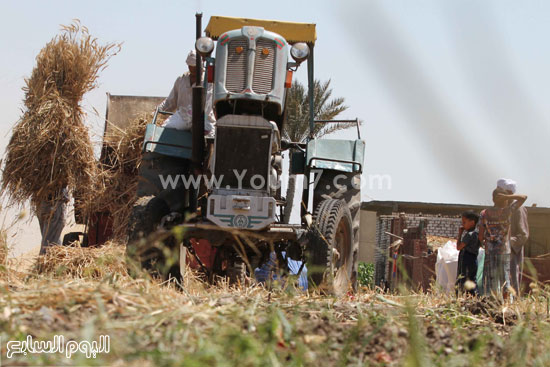 اليوم السابع -5 -2015