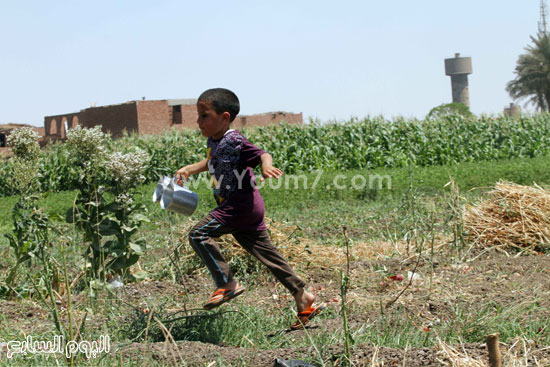 اليوم السابع -5 -2015