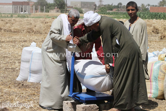 اليوم السابع -5 -2015