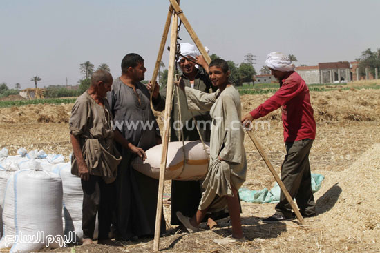 اليوم السابع -5 -2015