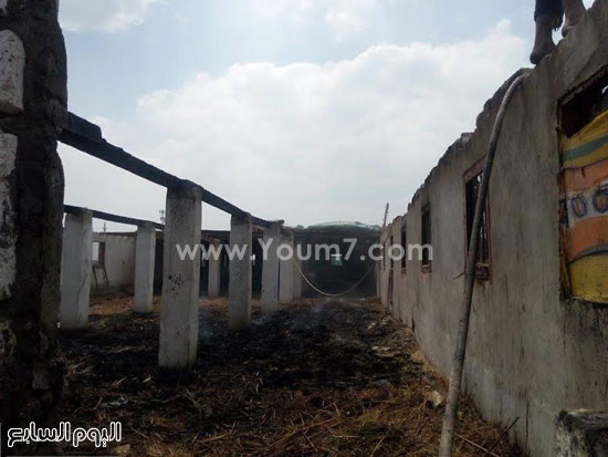  أثار الحريق بالمزرعة -اليوم السابع -5 -2015