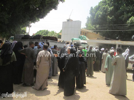 6-             المواطنون ينتظرون استلامه العجول بالأقصر -اليوم السابع -5 -2015
