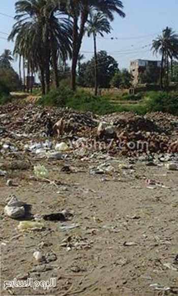 صورة للقمامة على جانبى الطرقات  -اليوم السابع -5 -2015