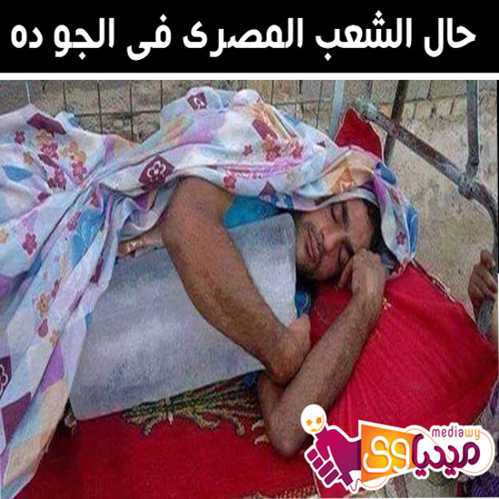 	حال الشعب المصرى فى الجو  -اليوم السابع -5 -2015