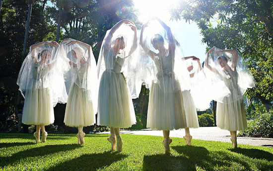 راقصات الباليه الأستراليات خلال افتتاح الحدائق النباتية فى بريسبان. -اليوم السابع -5 -2015