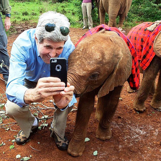 كيرى يلتقط صورة سيلفى مع فيل  -اليوم السابع -5 -2015