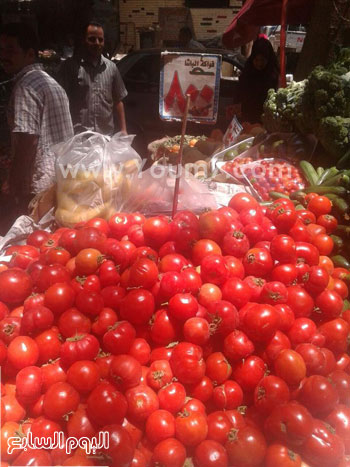8 جنيهات أسعار الطماطم بسوق الدقى -اليوم السابع -5 -2015