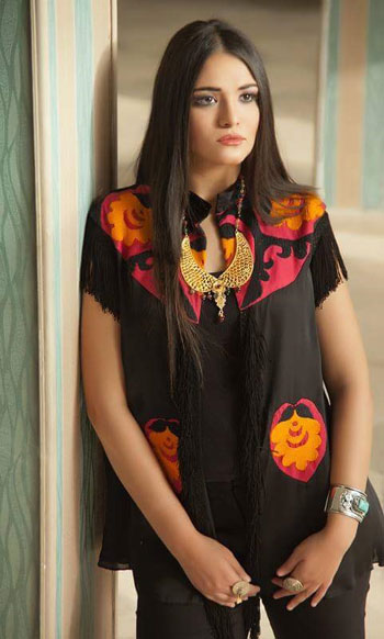 	الرسومات النوبية الجميلة  -اليوم السابع -5 -2015