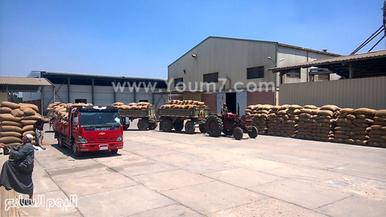 وزير الزراعة: الاتفاق مع التموين لفتح شون المحافظات لتسلم القمح من المزارعين -اليوم السابع -5 -2015 وزير الزراعة: الاتفاق مع التموين لفتح شون المحافظات لتسلم القمح من المزارعين -اليوم السابع -5 -2015