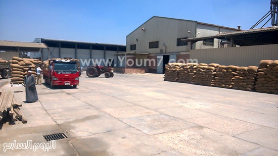 تخصيص 10 مليارات جنيه لشراء القمح من الفلاحين -اليوم السابع -5 -2015 تخصيص 10 مليارات جنيه لشراء القمح من الفلاحين -اليوم السابع -5 -2015