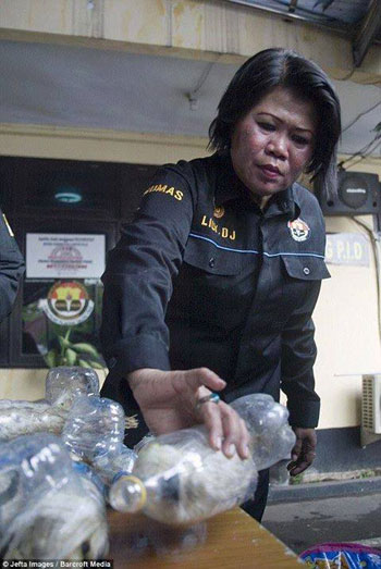 الشرطة الإندونسية تحرر 24 ببغاء تم تهريبهم عبر زجاجات المياه  -اليوم السابع -5 -2015