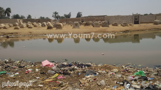  المياه الجوفية والقمامة تحاصر الموتى فى مقابرهم  -اليوم السابع -5 -2015