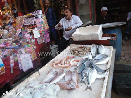ركود فى بيع الأسماك بالإسكندرية  -اليوم السابع -5 -2015