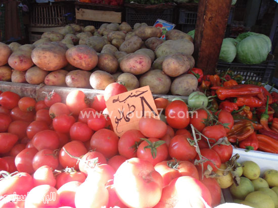 	سعر الطماطم بالإسكندرية 8 جنيهات -اليوم السابع -5 -2015