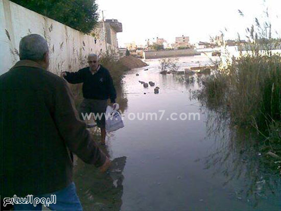  غرق منطقة أبو تلات بالعجمى -اليوم السابع -5 -2015