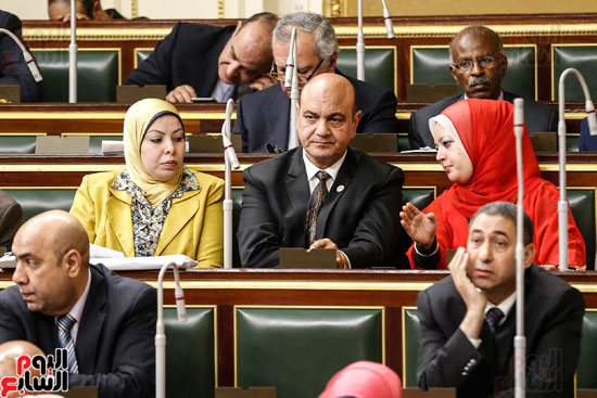 مجلس النواب البرلمان على عبد العال  (6)