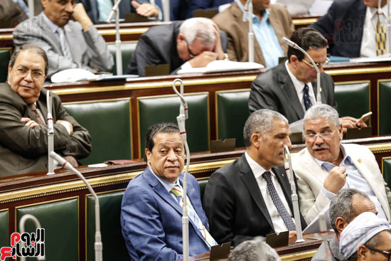 مجلس النواب البرلمان على عبد العال  (7)