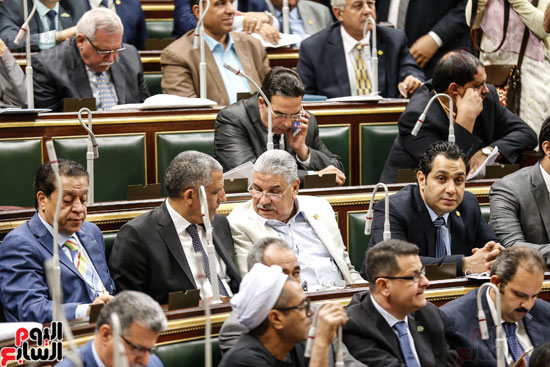 مجلس النواب البرلمان على عبد العال  (9)
