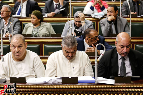 مجلس النواب البرلمان على عبد العال  (16)