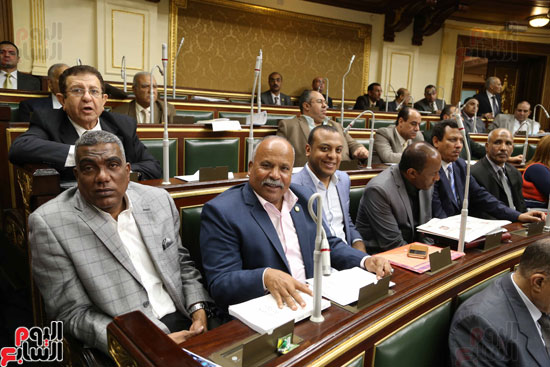 مجلس النواب البرلمان على عبد العال  (32)