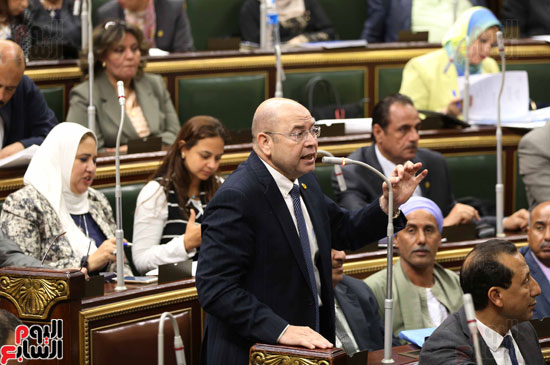 مجلس النواب البرلمان على عبد العال  (34)