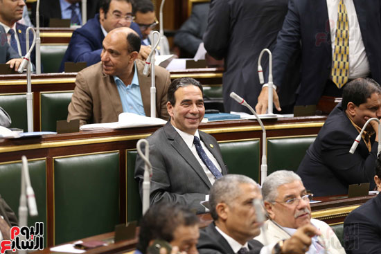 مجلس النواب البرلمان على عبد العال  (35)