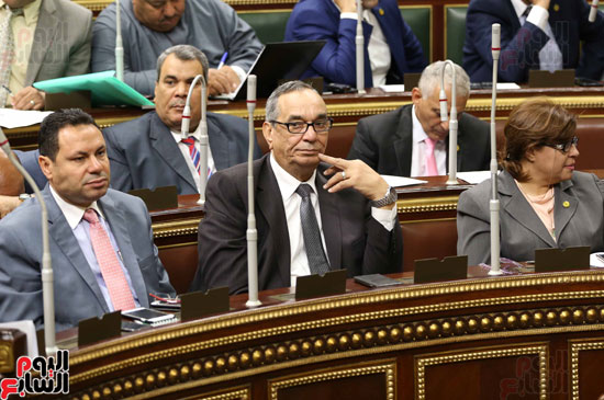 مجلس النواب البرلمان على عبد العال  (36)