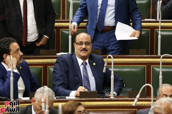 مجلس النواب البرلمان على عبد العال  (40)