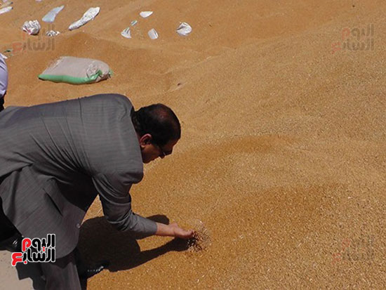 محافظ الغربية يتفقد شون استلام محصول القمح (2)