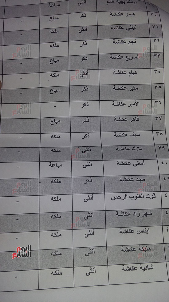 أسماء خيول توفيق عككاشة (3)