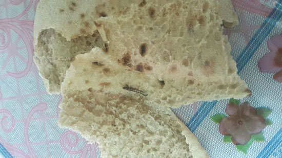خبز ، رغيف ، شبرا مصر ، شبرا (5)