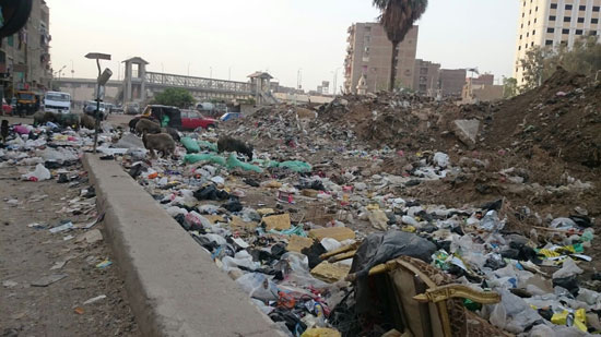 انتشار تلال القمامة بالصفطاوى ومطار إمبابة (4)